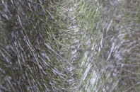 Wymm fibreglass roof work